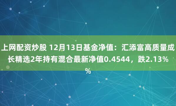 上网配资炒股 12月13日基金净值:汇添富高质量成长精选2年持有混合最新净值0.4544,跌2.13%