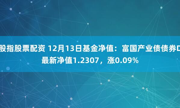 股指股票配资 12月13日基金净值:富国产业债债券D最新净值1.2307,涨0.09%