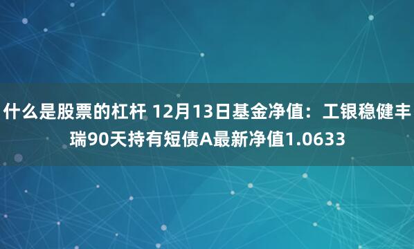 什么是股票的杠杆 12月13日基金净值:工银稳健丰瑞90天持有短债A最新净值1.0633