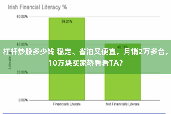 杠杆炒股多少钱 稳定、省油又便宜,月销2万多台,10万块买家轿看看TA?