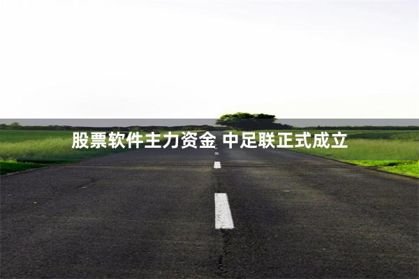 股票软件主力资金 中足联正式成立