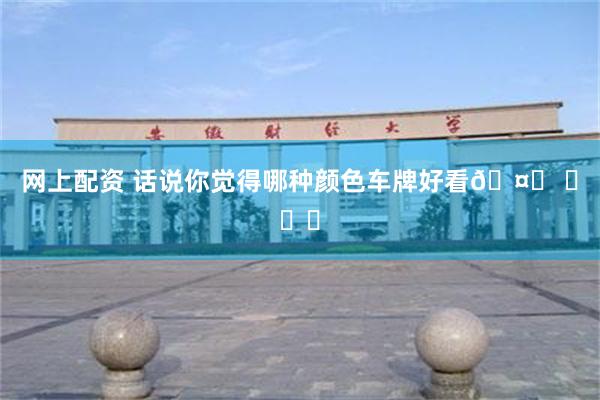 网上配资 话说你觉得哪种颜色车牌好看🤔 ​​​