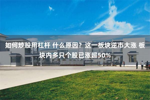 如何炒股用杠杆 什么原因？这一板块逆市大涨 板块内多只个股已涨超50%