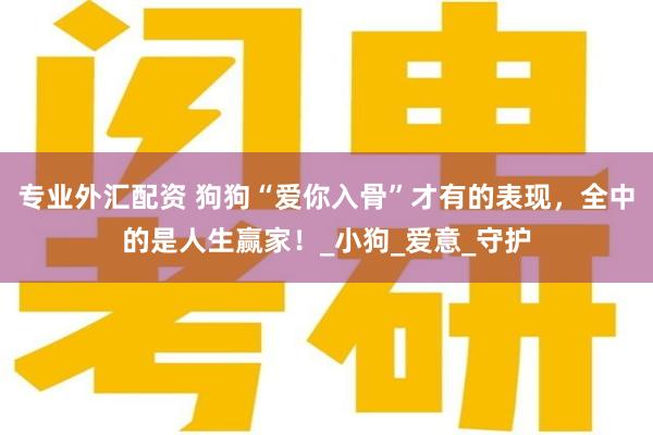 专业外汇配资 狗狗“爱你入骨”才有的表现，全中的是人生赢家！_小狗_爱意_守护
