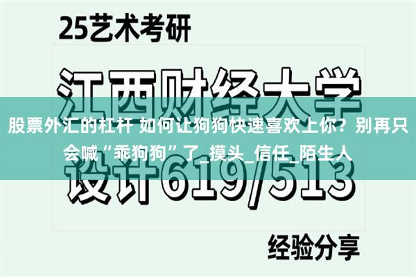 股票外汇的杠杆 如何让狗狗快速喜欢上你？别再只会喊“乖狗狗”了_摸头_信任_陌生人