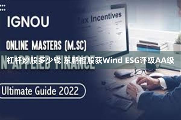 杠杆炒股多少钱 东鹏控股获Wind ESG评级AA级