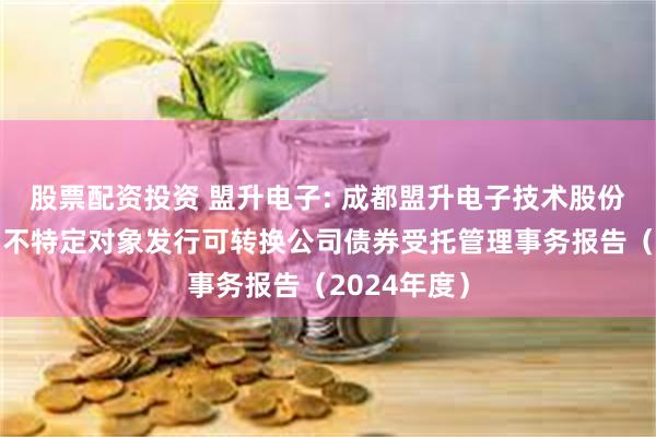 股票配资投资 盟升电子: 成都盟升电子技术股份有限公司向不特定对象发行可转换公司债券受托管理事务报告(2024年度)