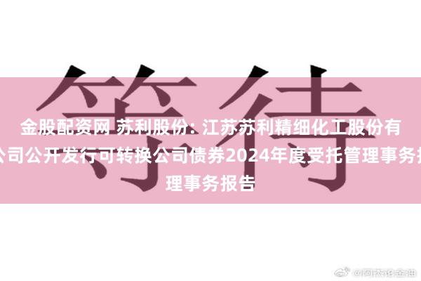 金股配资网 苏利股份: 江苏苏利精细化工股份有限公司公开发行可转换公司债券2024年度受托管理事务报告