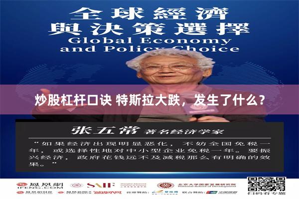 炒股杠杆口诀 特斯拉大跌，发生了什么？