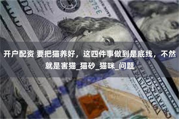 开户配资 要把猫养好，这四件事做到是底线，不然就是害猫_猫砂_猫咪_问题