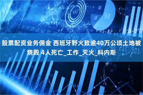 股票配资业务佣金 西班牙野火致逾40万公顷土地被烧毁 4人死亡_工作_灭火_科内斯