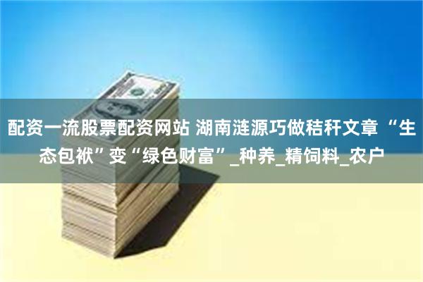 配资一流股票配资网站 湖南涟源巧做秸秆文章 “生态包袱”变“绿色财富”_种养_精饲料_农户