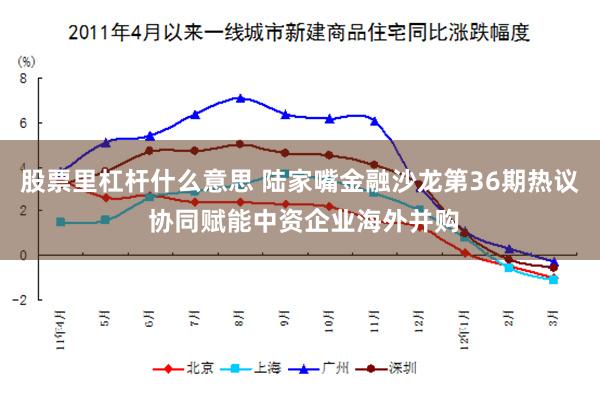 股票里杠杆什么意思 陆家嘴金融沙龙第36期热议 协同赋能中资企业海外并购