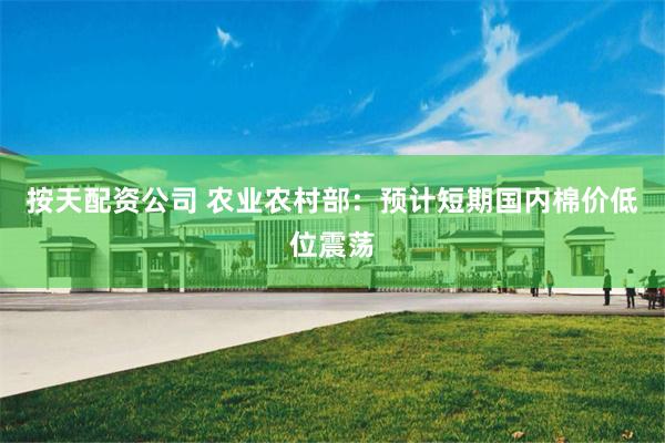 按天配资公司 农业农村部：预计短期国内棉价低位震荡