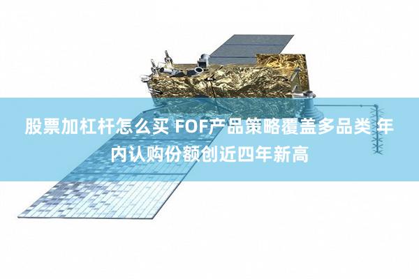 股票加杠杆怎么买 FOF产品策略覆盖多品类 年内认购份额创近四年新高