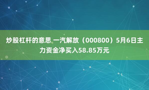 炒股杠杆的意思 一汽解放（000800）5月6日主力资金净买入58.85万元