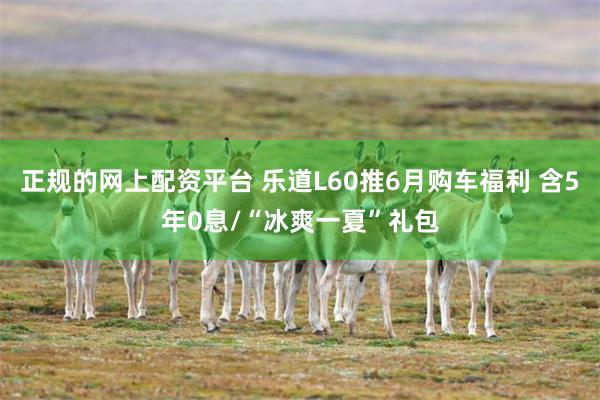 正规的网上配资平台 乐道L60推6月购车福利 含5年0息/“冰爽一夏”礼包