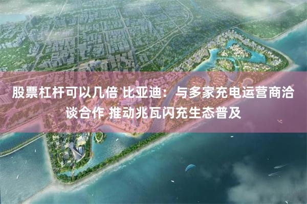 股票杠杆可以几倍 比亚迪：与多家充电运营商洽谈合作 推动兆瓦闪充生态普及