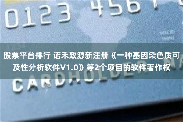 股票平台排行 诺禾致源新注册《一种基因染色质可及性分析软件V1.0》等2个项目的软件著作权