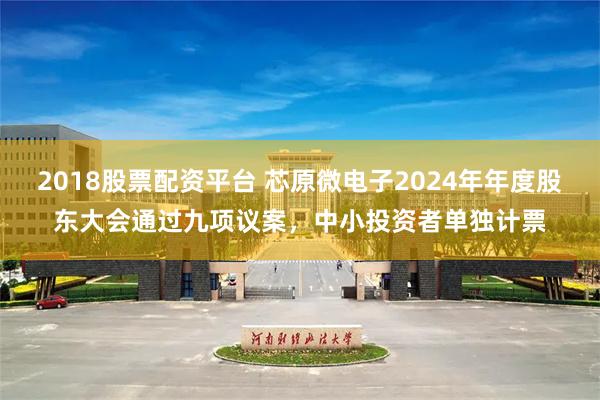 2018股票配资平台 芯原微电子2024年年度股东大会通过九项议案，中小投资者单独计票