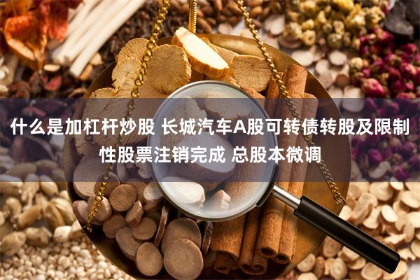 什么是加杠杆炒股 长城汽车A股可转债转股及限制性股票注销完成 总股本微调