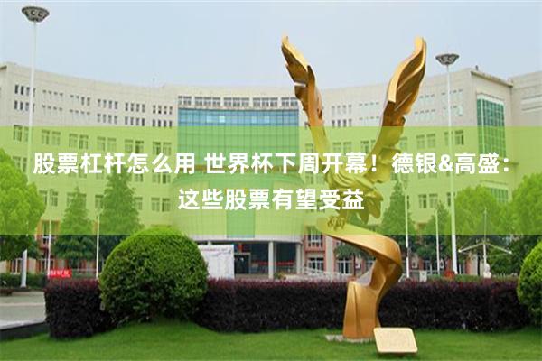 股票杠杆怎么用 世界杯下周开幕！德银&高盛：这些股票有望受益