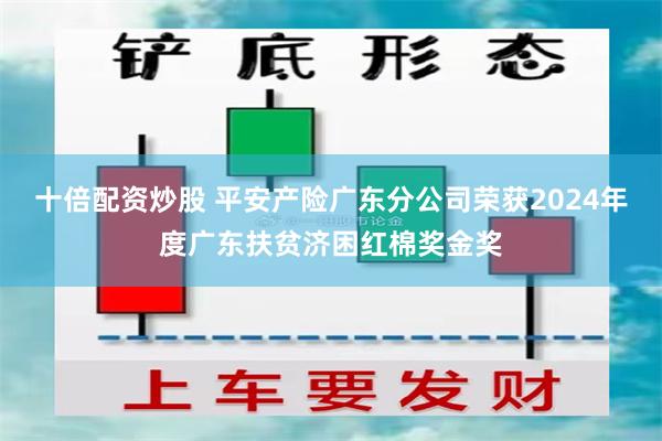 十倍配资炒股 平安产险广东分公司荣获2024年度广东扶贫济困红棉奖金奖