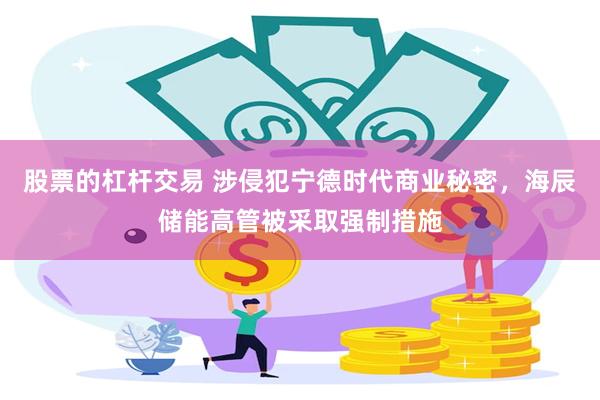 股票的杠杆交易 涉侵犯宁德时代商业秘密，海辰储能高管被采取强制措施