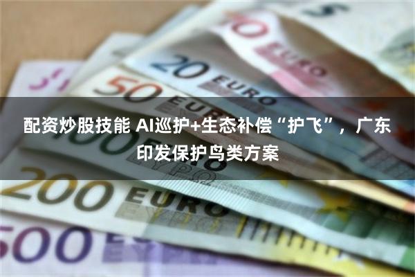 配资炒股技能 AI巡护+生态补偿“护飞”，广东印发保护鸟类方案