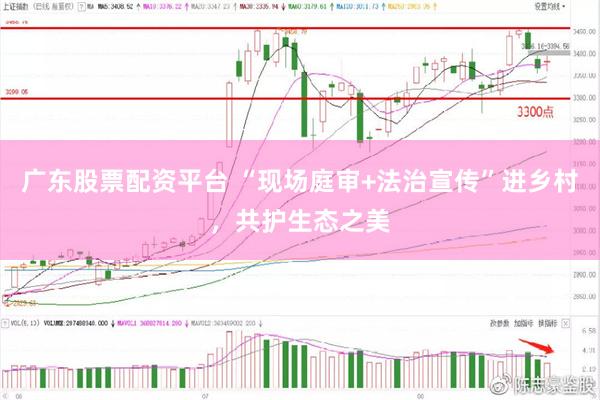 广东股票配资平台 “现场庭审+法治宣传”进乡村，共护生态之美