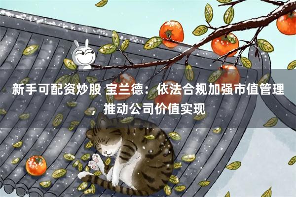 新手可配资炒股 宝兰德：依法合规加强市值管理，推动公司价值实现