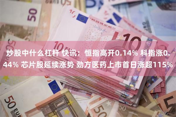 炒股中什么杠杆 快讯：恒指高开0.14% 科指涨0.44% 芯片股延续涨势 劲方医药上市首日涨超115%