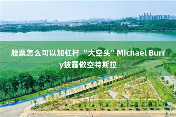 股票怎么可以加杠杆 “大空头”Michael Burry披露做空特斯拉