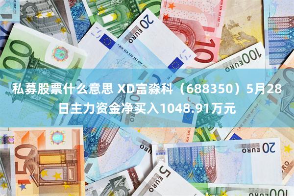 私募股票什么意思 XD富淼科（688350）5月28日主力资金净买入1048.91万元