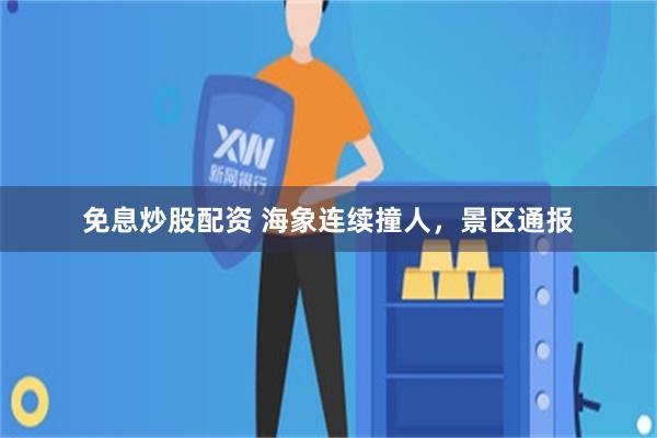 免息炒股配资 海象连续撞人，景区通报