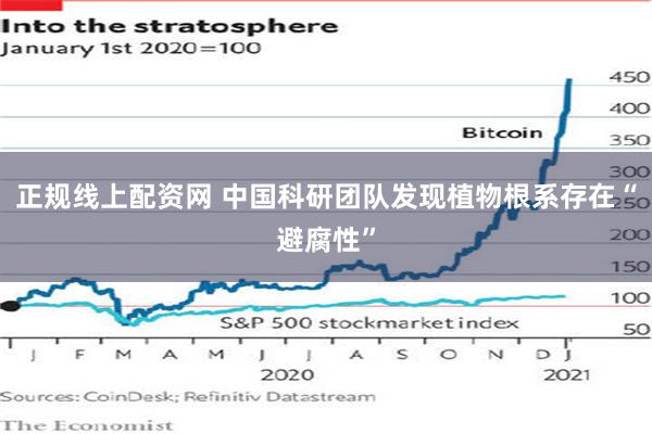 正规线上配资网 中国科研团队发现植物根系存在“避腐性”