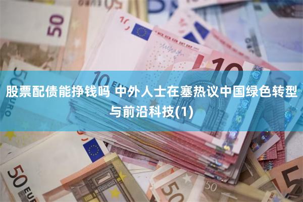 股票配债能挣钱吗 中外人士在塞热议中国绿色转型与前沿科技(1)