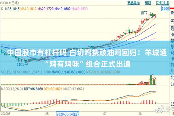 中国股市有杠杆吗 白切鸡携豉油鸡回归！羊城通“鸡有鸡味”组合正式出道