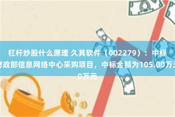 杠杆炒股什么原理 久其软件（002279）：中标财政部信息网络中心采购项目，中标金额为105.00万元