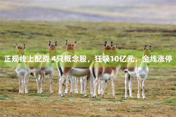 正规线上配资 4只概念股，狂吸10亿元，全线涨停