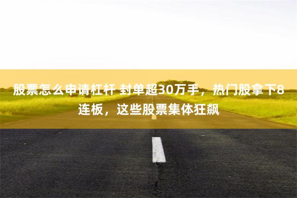 股票怎么申请杠杆 封单超30万手，热门股拿下8连板，这些股票集体狂飙