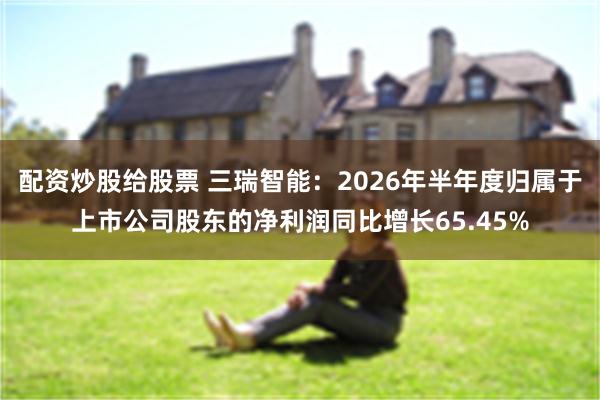 配资炒股给股票 三瑞智能：2026年半年度归属于上市公司股东的净利润同比增长65.45%