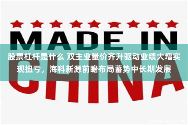 股票杠杆是什么 双主业量价齐升驱动业绩大增实现扭亏，海科新源前瞻布局蓄势中长期发展