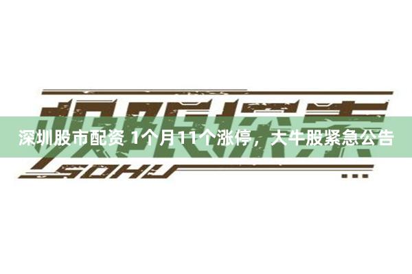 深圳股市配资 1个月11个涨停，大牛股紧急公告
