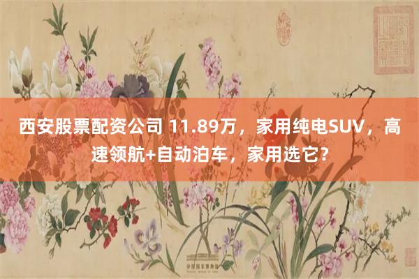 西安股票配资公司 11.89万，家用纯电SUV，高速领航+自动泊车，家用选它？