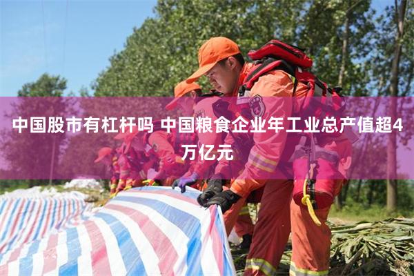 中国股市有杠杆吗 中国粮食企业年工业总产值超4万亿元