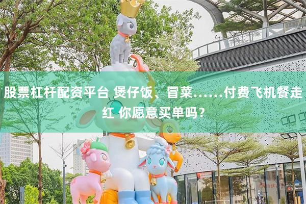 股票杠杆配资平台 煲仔饭、冒菜……付费飞机餐走红 你愿意买单吗？