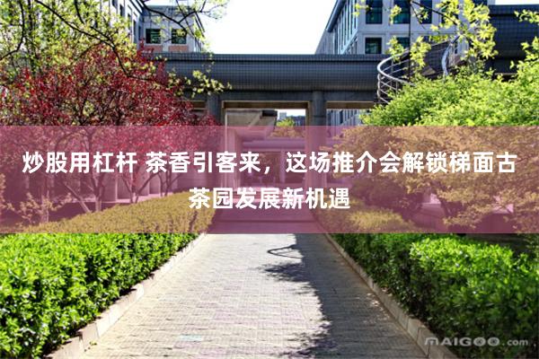 炒股用杠杆 茶香引客来，这场推介会解锁梯面古茶园发展新机遇