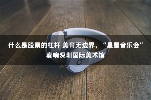 什么是股票的杠杆 美育无边界，“星星音乐会”奏响深圳国际美术馆