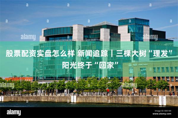 股票配资实盘怎么样 新闻追踪｜三棵大树“理发” 阳光终于“回家”
